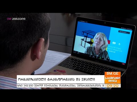 ორგანიზაციული ტრანსფორმაცია და ეჯაილი - ეფი ვან დენ ბორნი