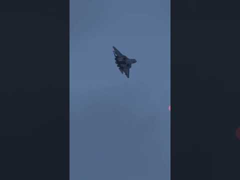 Video: Combattente di coperta F-14 