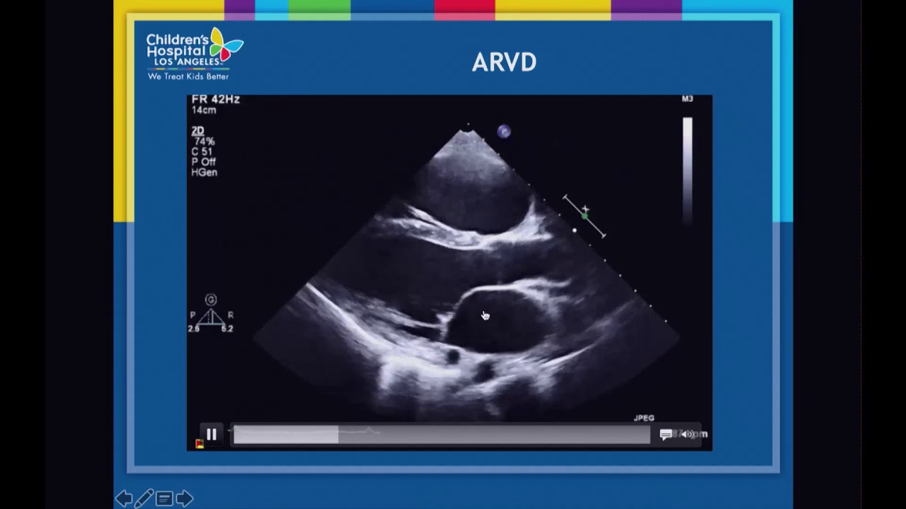 Autopsy and pathology in the world of noninvasive imaging
