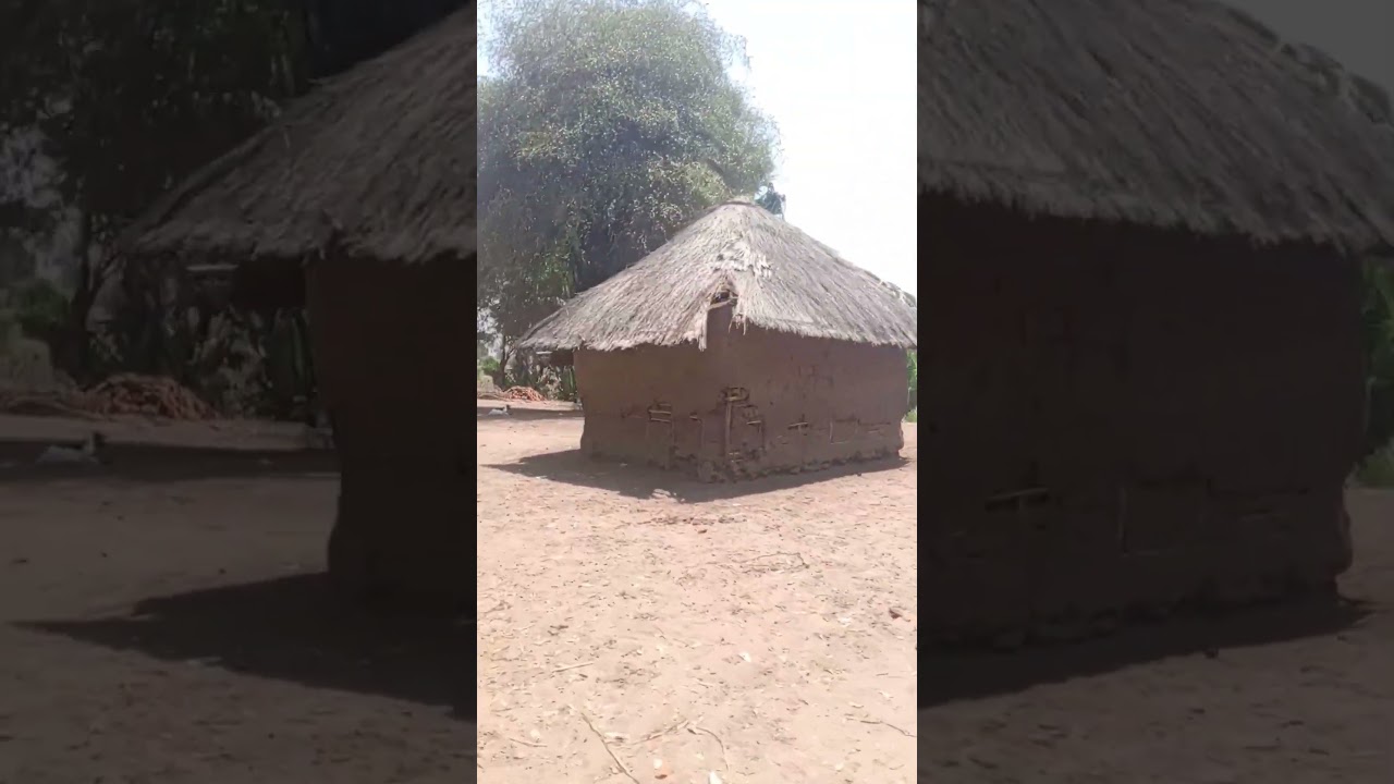 Como é a África nas zonas rurais? #moçambique #interior #casas #aldeia #shortviral #brasil