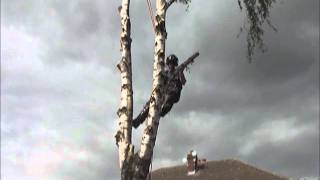 How To Fell A Tree - Arborist Techniques - Tree Surgeon Leeds