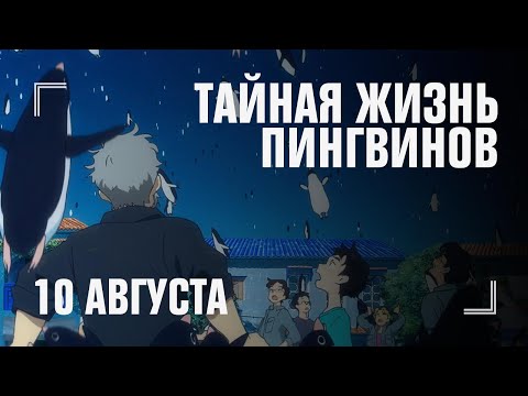 Трейлер 2х2