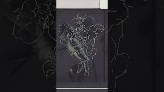 The Fossil Record: Etched in Stone