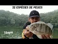 Pesquei 22 Espécies de Peixes diferentes em 1 Ano e 6 Meses de Canal Pesca e Frito