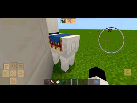 სასამართლო  მაგრამ ყელი ამატკიეს