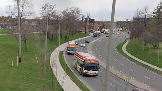 TTC 2019 New Flyer XE40 Xcelsior #3717