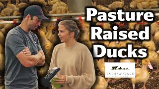 Duck Poop Drives 100 Acre Regenerative Farm in Australia | Tathra Place