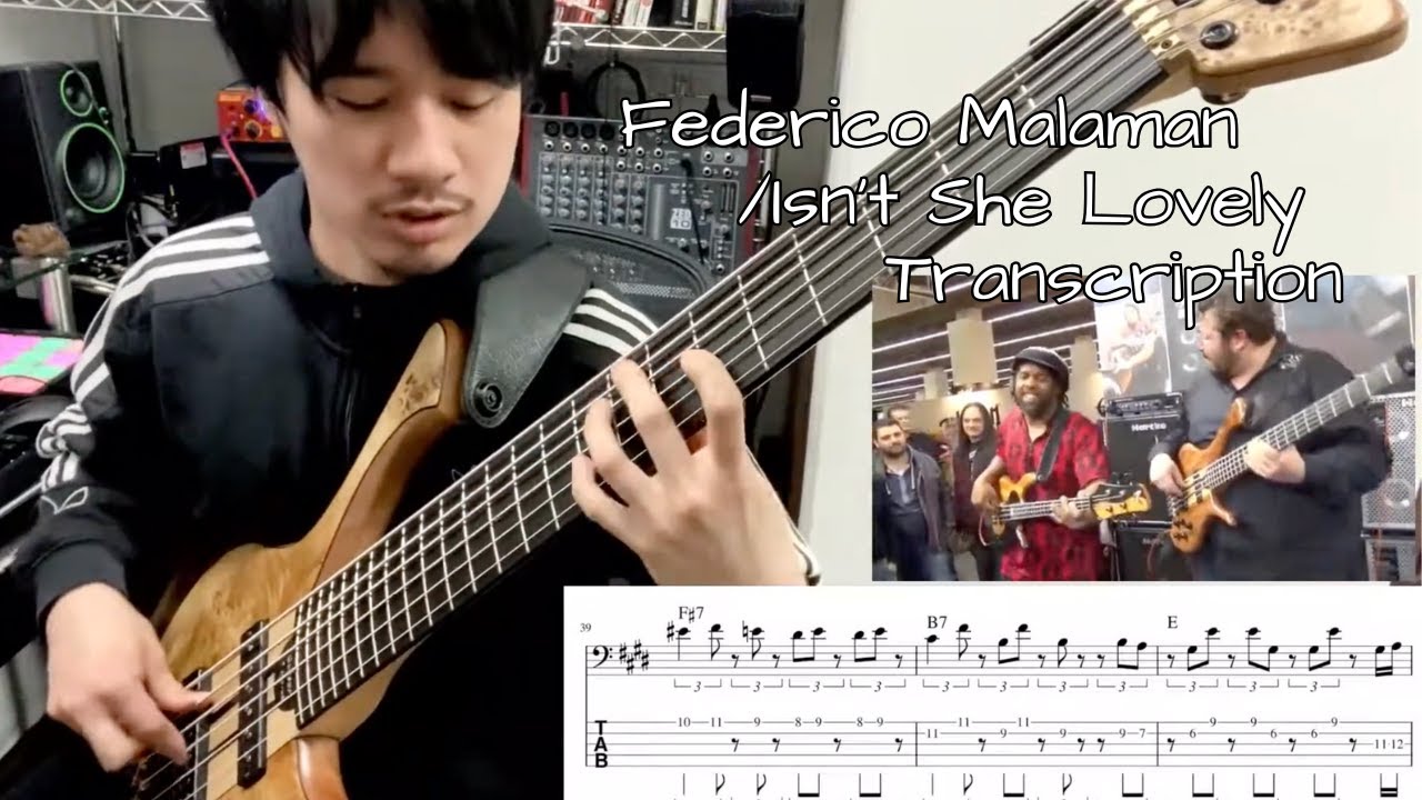 Tab Federico Malaman Isn T She Lovely Transcription Youtube
