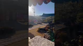 한국아저씨의 경주 여행 일기(경주 한옥 1번가) | 한국아저씨의 여행 일기 | 0:10 | 조회수 199회