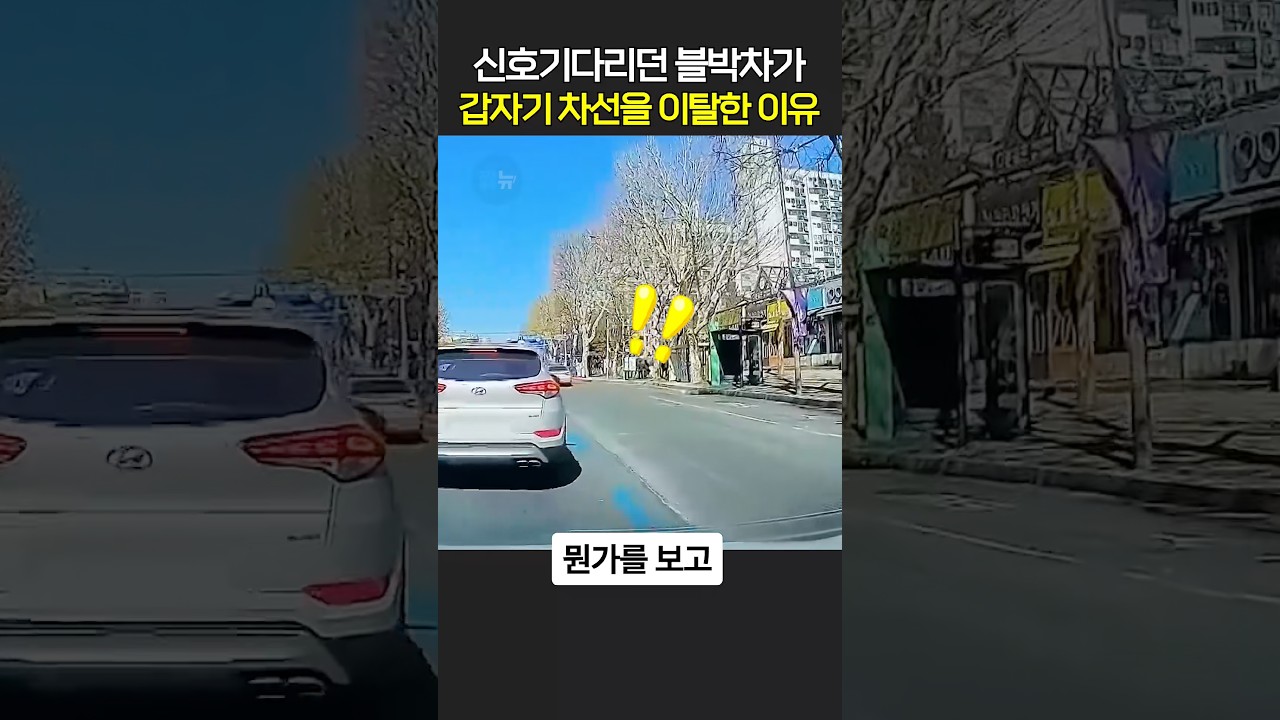 신호기다리던 블박차가 갑자기 차선을 이탈한 이유