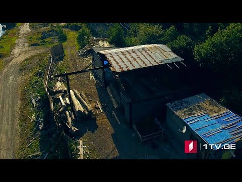 #ახალიკვირა ხე-ტყის უკანონო ჭრა