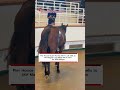 Day 3 Pier House Stud's No Nay Never colt sells for 900,000gns!