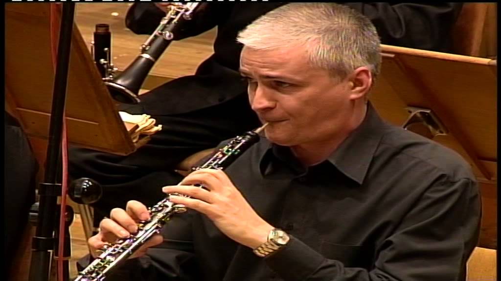 J. BRAHMS - Concerto for Violin and Orchestra (Excerpt)