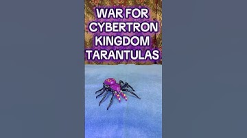 TARANTULAS TRANSFORMATION QUICKIE (Tales from the Crypt style) #transformers #tarantulas #predacons