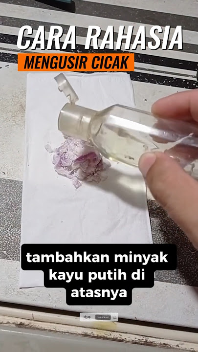 tips rahasia mengusir cicak #idekreatif #tips #tutorial