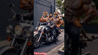 #cat #micat #xuhuong