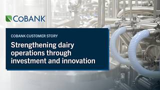Strengthening dairy operations through investment and innovation | CoBank customer story