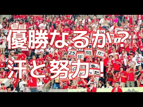 【スポーツトピックス】浪速風、努力は報われる！
