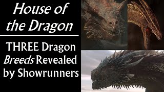 House of the Dragon: 3 Dragon BREEDS Revealed by Showrunners (Game of Thrones prequel)