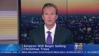 Amazon To Sell Christmas Trees