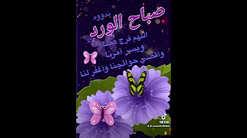 صباح النور 
