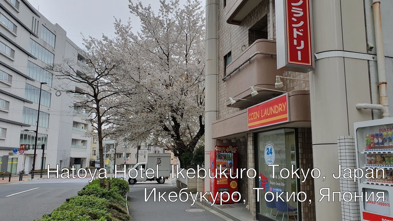 Обзор отеля Hatoya Hotel, Токио, Япония (2019)