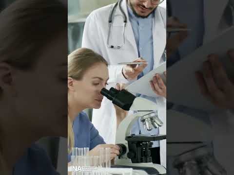 Investigadores descubren un
