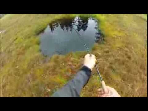 Video: Sådan Fiskes I En Dam