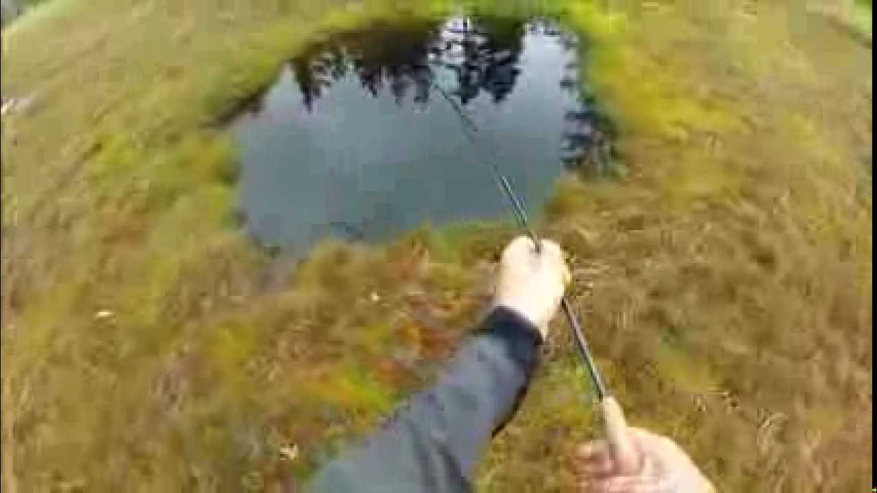 Freshwater fishing in Norway  Fresh air, clear water, and lots of happy  fish