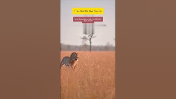 The importance of being independent 💪