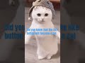 #cat