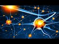 Damaged Brain Healing, Heal The Whole Body, Scientists CAN&#39;T Explain Why This Audio HEALS People!