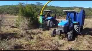 JF 1600 AT TEA TREE HARVESTING