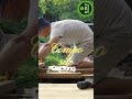 Wood Decking vs Composite Decking | Buy Wood Decking Price Guide – AtoZ Wood Company