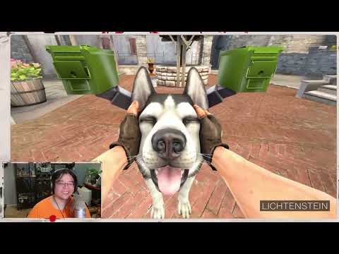 A Full On Re-Supply Dog || CURSED WEAPONS IN CS:GO Reaction