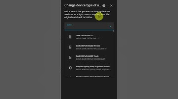 Turn a Switch into a Light #homeassistant #tipsandtricks