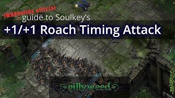 HotS Zerg Beginner Build | ZvT Soulkey