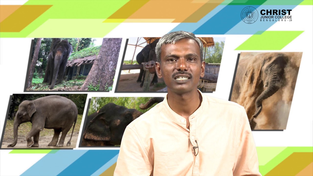 Krishnegowdana aane written by K.P. Poornachandra Tejaswi