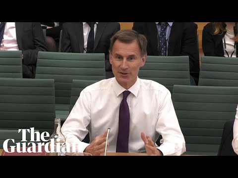 Hunt claims treasury never briefed uk wanted swiss-style brexit deal