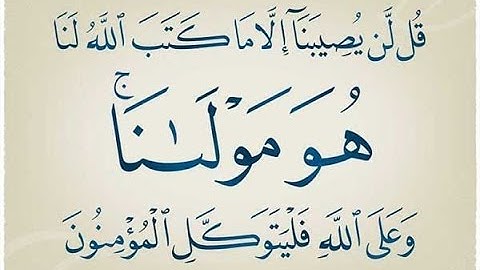 قراءة مميزة جدا بصوت الشيخ أبوبكرمومني صلاة التراويح 07 رمضان 1436 I سورة التوبة  3