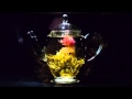 Brew Christmas Tree Flower Tea by Teavivre