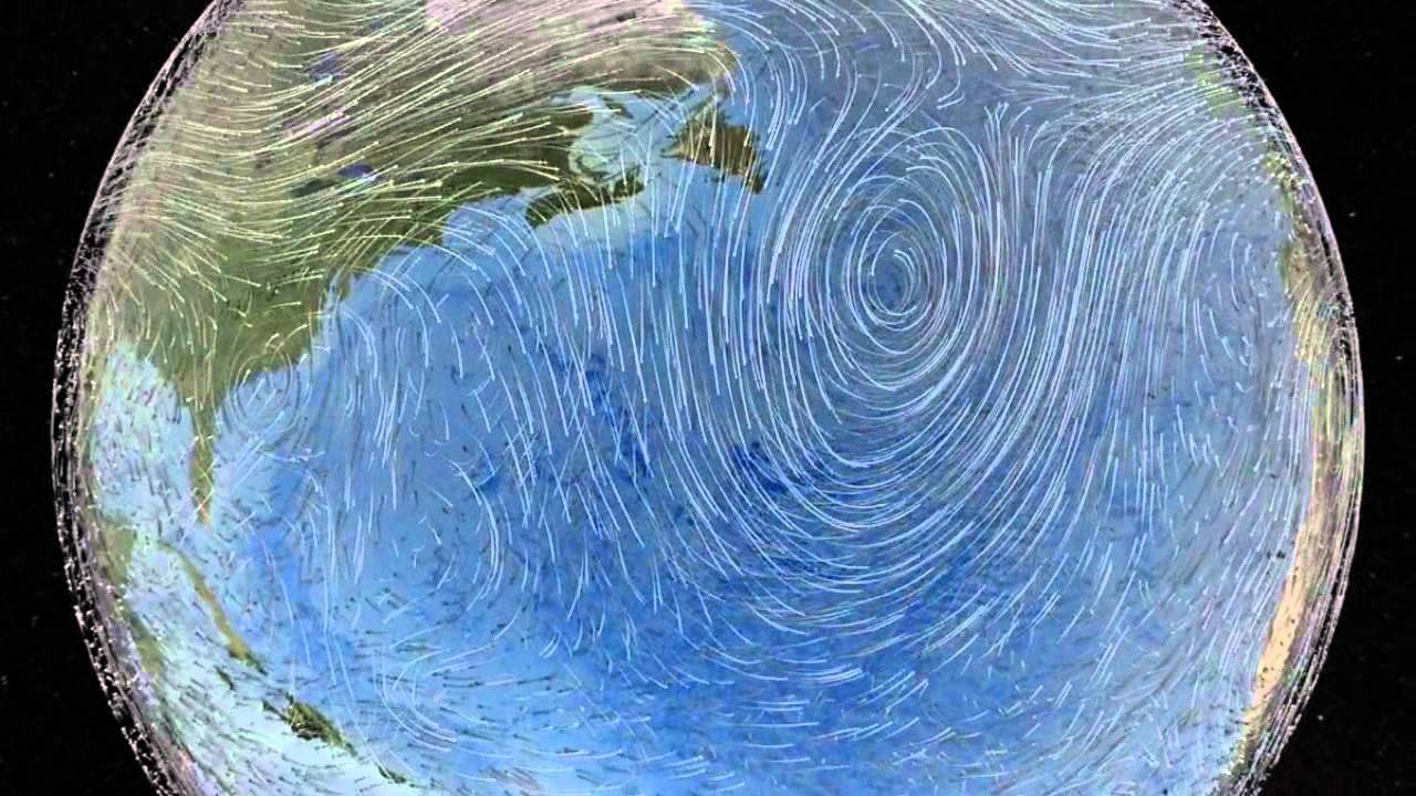 在 YouTube 上觀看「Web by Brian Eno (Nerve Net)」 在 YouTube 上觀看「Web by Brian Eno (Nerve Net)」