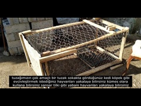 Evcil ve yabani hayvan tuzağı yapımı (tavuk,köpek,kedi,sansar,tilki) kafesli tuzak yapımı çok amaçlı