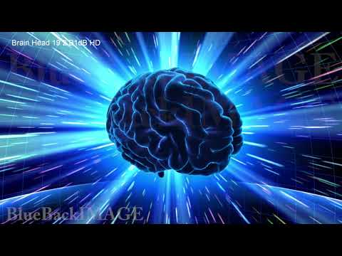 映像素材 動画素材 脳 頭脳 ブレイン 医療 メディカル ヘッド マインド アイデア Brain Head 19 3 Molecular A1bB