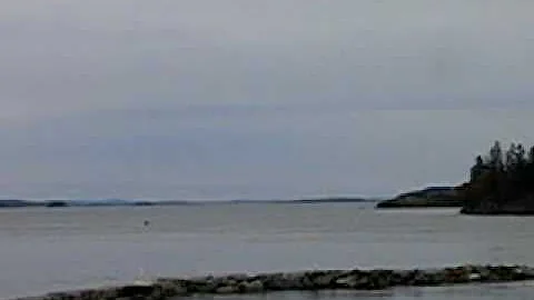 MVI 1855