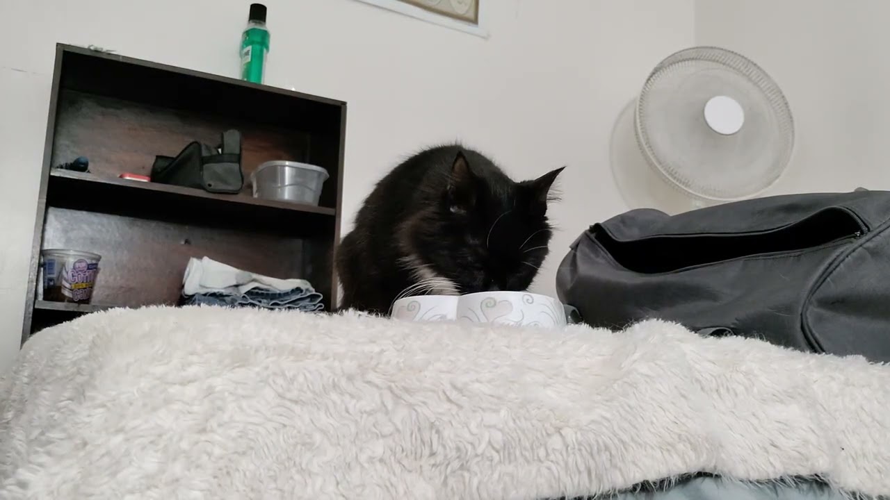 sharing, learning, coming, moving out 11,10,22