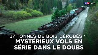 17 tonnes de bois dérobés : mystérieux vols en série dans le Doubs