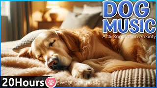 20 Hours of Dog Sleep Music 🎵Anti Separation Anxiety Relief Music💖🐶Dog Calming Videos on youtube