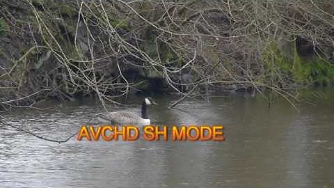 AVCHD v MJPEG Second Test File after camera adjustment (lumix GH1)