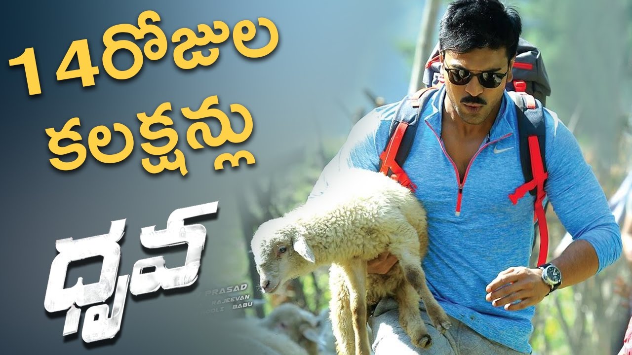 Dhruva Movie 14Days Box Office Collections Report ||  Ramcharan , RakulPreet Singh